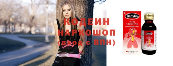 прущая мука Корсаков