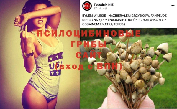 мдпв Коряжма